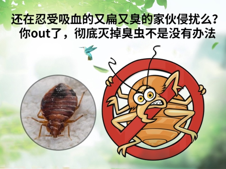 灭老鼠公司_灭老鼠公司有用吗_灭老鼠的公司