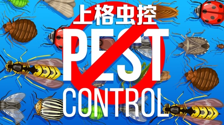 灭老鼠公司_灭老鼠公司有用吗_灭老鼠的公司