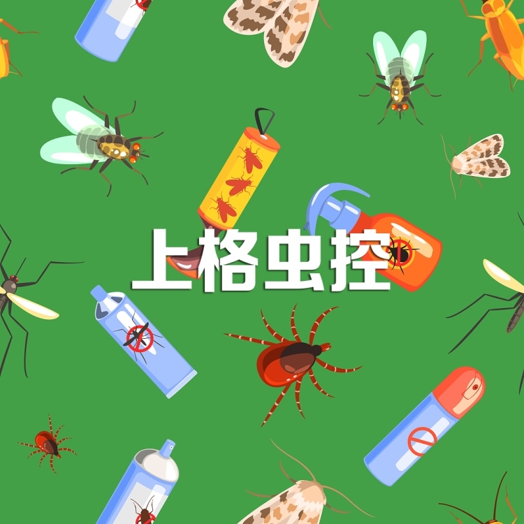 灭老鼠公司有用吗_灭老鼠的公司_灭老鼠公司