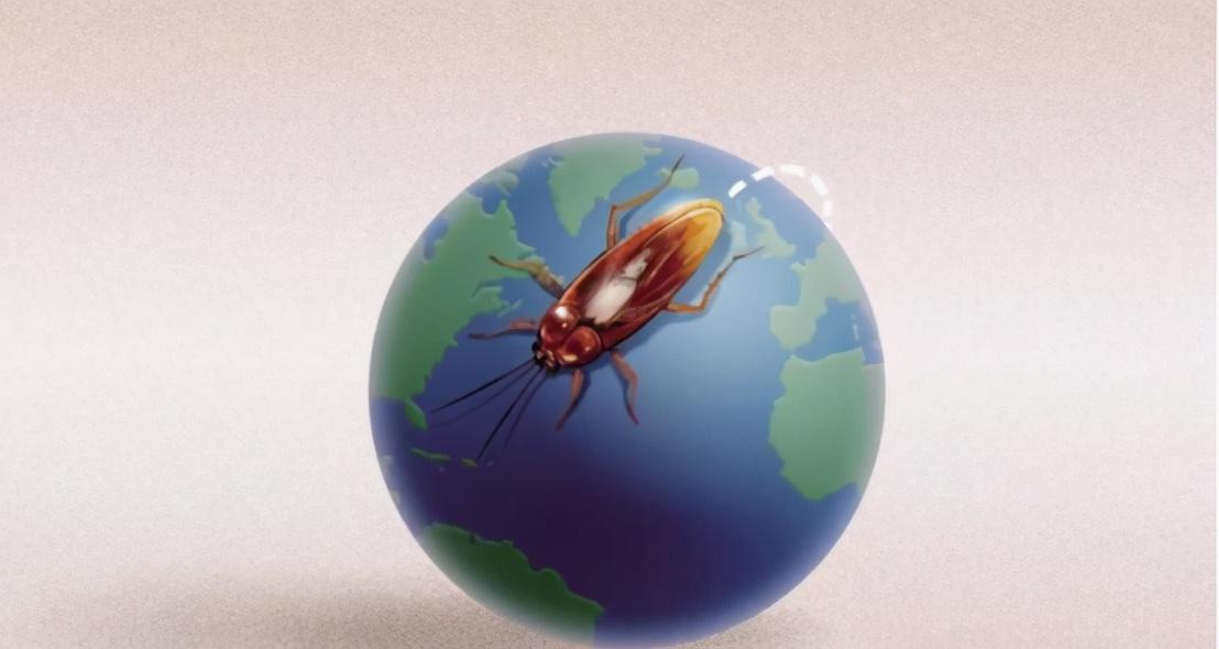 蟑螂怕什么东西和气味_蟑螂怕高温吗_蟑螂怕什么