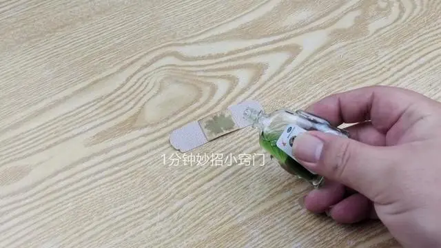 灭蚊子有几种方法_灭蚊子的一百种方法_灭蚊子最有效的方法