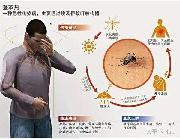 家庭灭蚊子最有效的方法是什么_家庭最有效灭蚊子方法_家庭灭蚊虫最好的方法