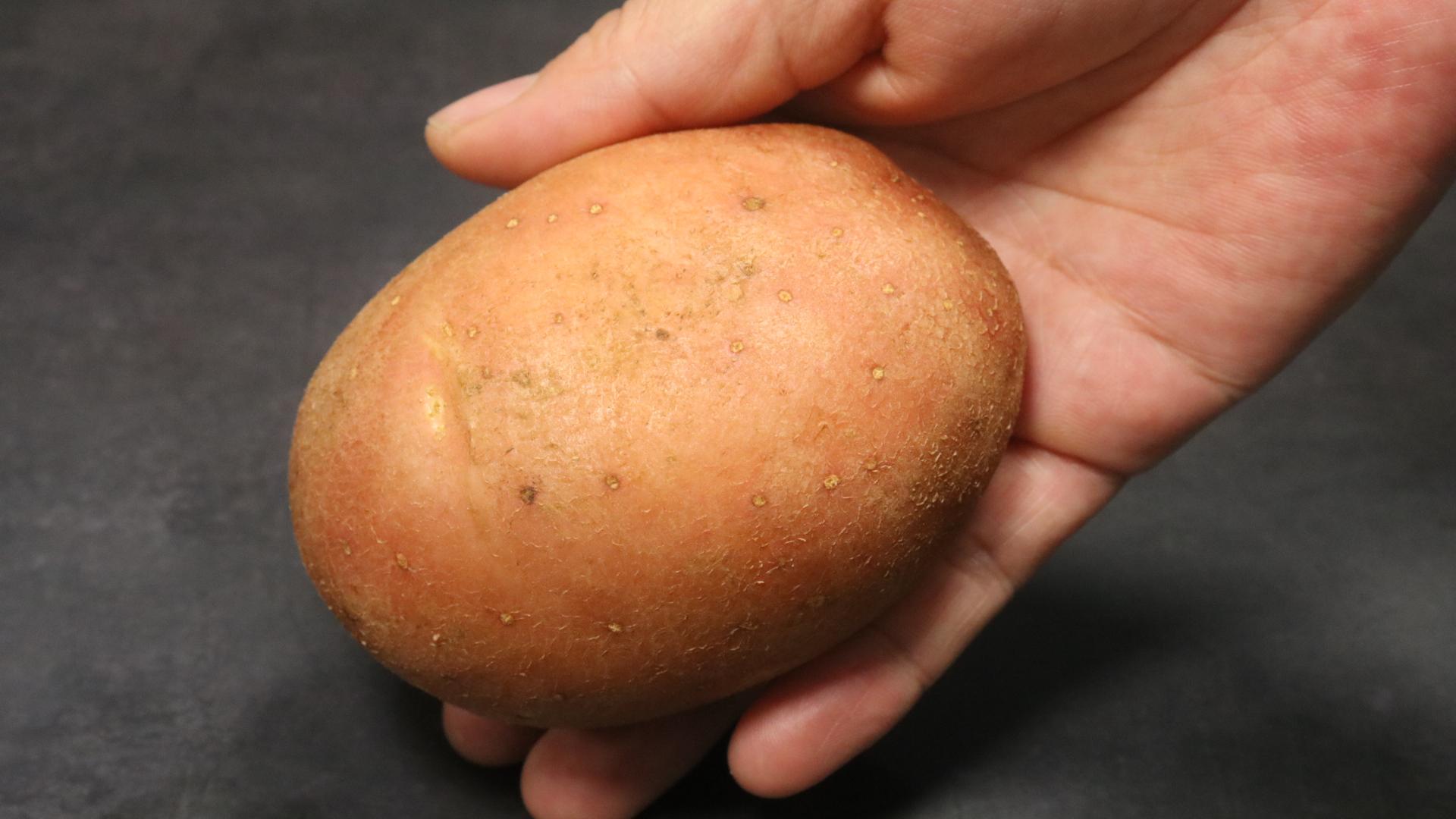 蟑螂怕什么_蟑螂怕消毒水吗_蟑螂怕不怕樟脑丸