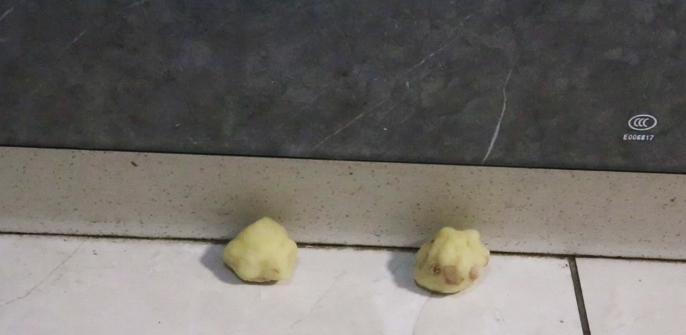 蟑螂怕什么_蟑螂怕消毒水吗_蟑螂怕不怕樟脑丸