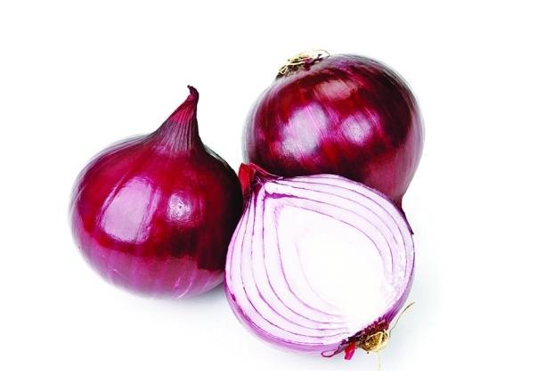 蟑螂怕不怕樟脑丸_蟑螂怕什么东西和气味_蟑螂怕什么