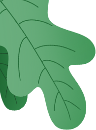 灭蚊子妙方_灭蚊子的100种方法_灭蚊子方法