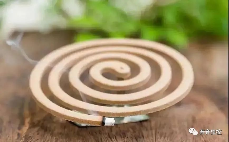 灭蚊子妙方_灭蚊子方法_灭蚊子的100种方法