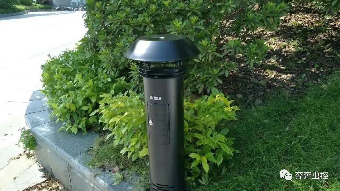 灭蚊子的100种方法_灭蚊子妙方_灭蚊子方法