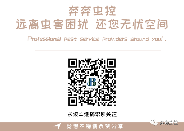 灭蚊子的100种方法_灭蚊子妙方_灭蚊子方法