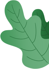 灭蚊子方法_灭蚊子妙方_灭蚊子的100种方法