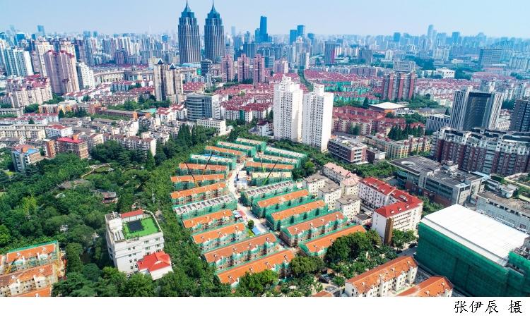 灭白蚁粉对人体有害吗_灭白蚁最快的方法_白蚁怎么灭