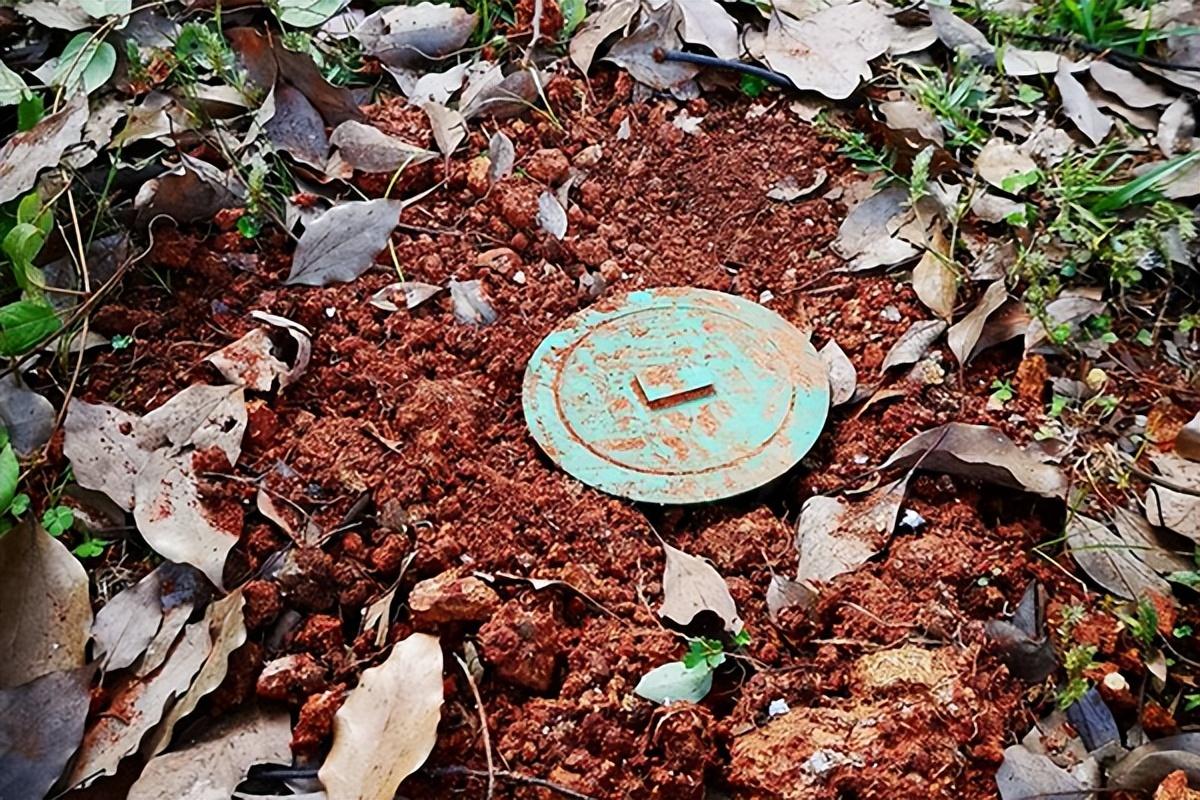 白蚁怎么灭_灭白蚁最快的方法_灭白蚁公司