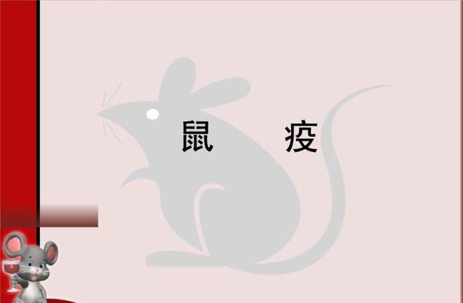 老鼠灭土有效方法有哪些_灭老鼠最有效的土方法_老鼠灭土有效方法视频