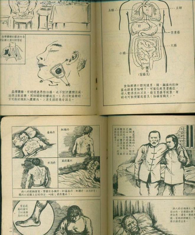 灭老鼠最有效的土方法_老鼠灭土有效方法有哪些_老鼠灭土有效方法视频