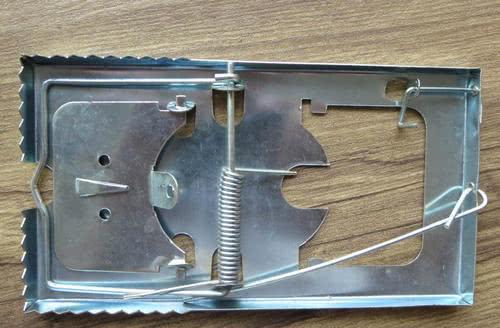 灭老鼠最有效的土方法_老鼠灭土有效方法有哪些_老鼠灭土有效方法视频