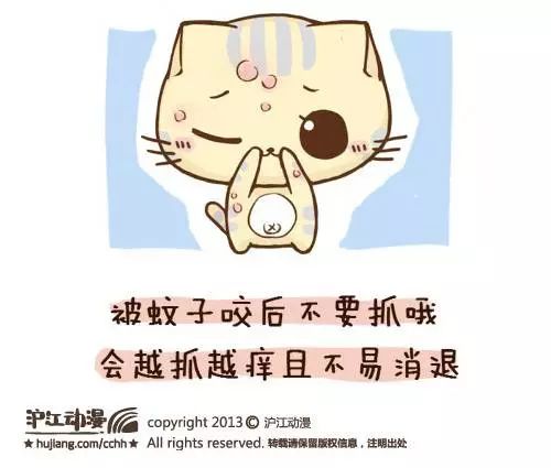 怎么灭蚊子_怎么灭蚊子_怎么灭蚊子