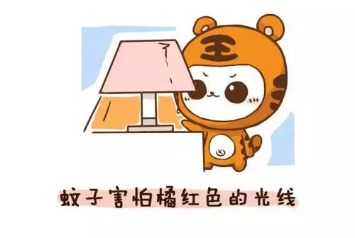 怎么灭蚊子_怎么灭蚊子_怎么灭蚊子