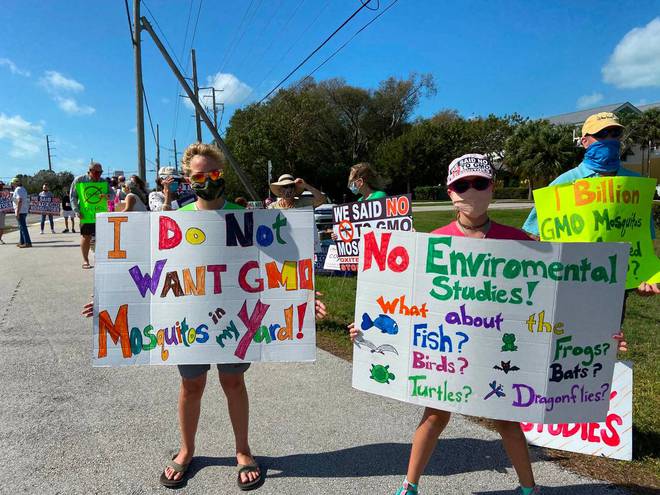 灭蚊子的药水有哪些_蚊子的药水_药水子灭蚊有什么作用