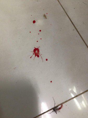 药水子灭蚊有什么作用_灭蚊子的药水有哪些_蚊子的药水