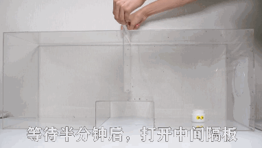 灭蚊子图片_灭蚊图片表情包_灭蚊子表情包