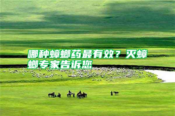 哪种蟑螂药最有效?灭蟑螂专家告诉您