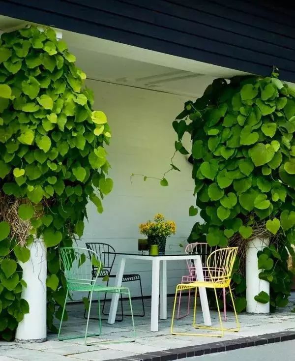 灭蚊子表情包_灭蚊子图片_灭蚊子照片