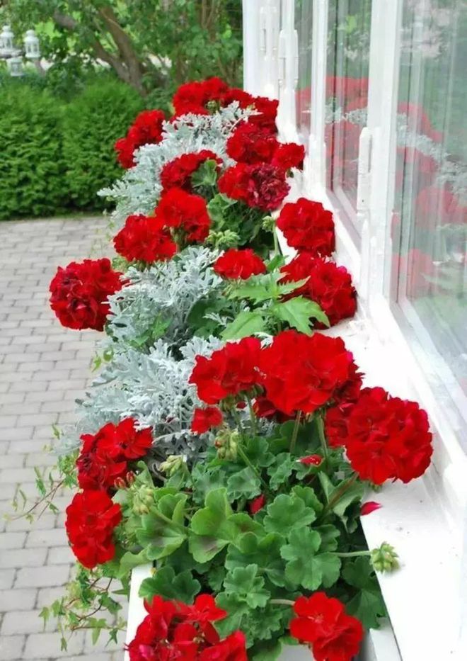 灭蚊子图片_灭蚊子表情包_灭蚊子照片