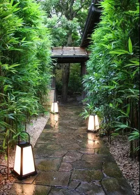 灭蚊子图片_灭蚊子表情包_灭蚊子照片