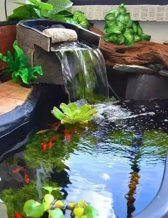 灭蚊子图片_灭蚊子照片_灭蚊子表情包