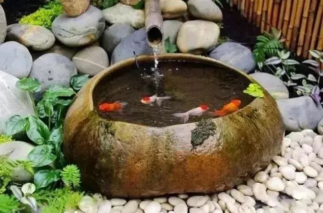 灭蚊子图片_灭蚊子照片_灭蚊子表情包