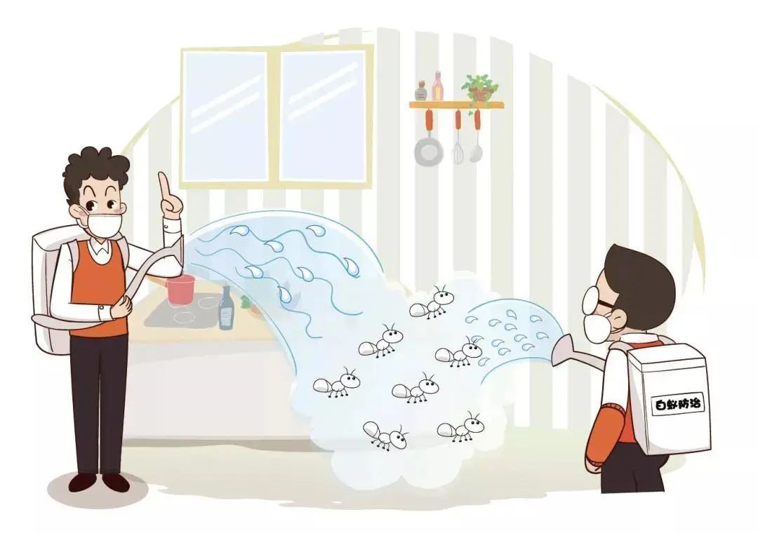 灭白蚁的特效药_灭白蚁的收费标准_白蚁怎么灭