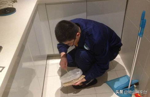 灭杀白蚁的最好的药_灭治白蚁有哪些药物_灭白蚁防治