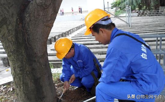 灭白蚁防治_灭杀白蚁的最好的药_灭治白蚁有哪些药物