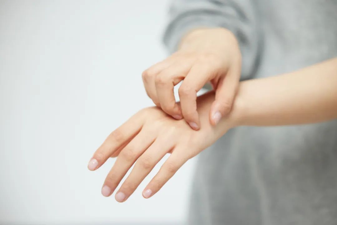 杀臭虫的药有毒吗_杀臭虫的药粉_灭臭虫的药有哪些