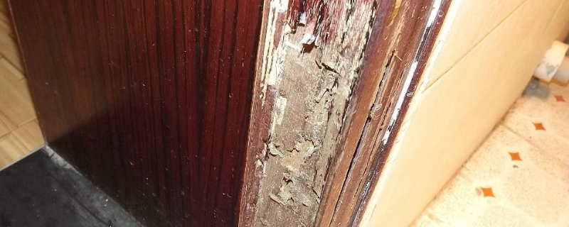 灭白蚁最快的方法_灭白蚁方法有哪些图片_如何消灭白蚁方法