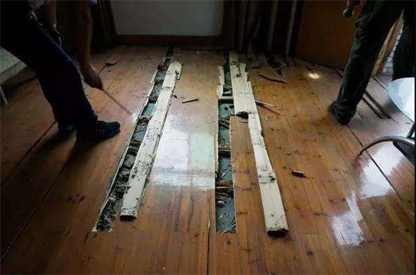 如何消灭白蚁方法_灭白蚁最快的方法_灭白蚁方法有哪些图片