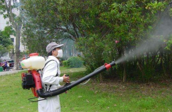 如何消灭白蚁方法_灭白蚁最快的方法_灭白蚁方法有哪些图片