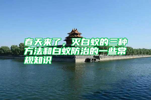 春天来了,灭白蚁的三种方法和白蚁防治的一些常规知识