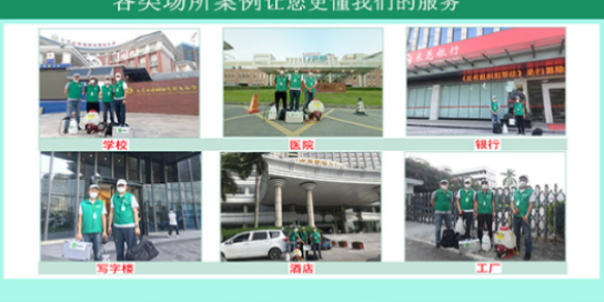 高效灭白蚁哪家好,白蚁