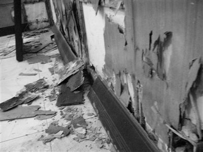 自己灭白蚁一市民30多万元装潢报废