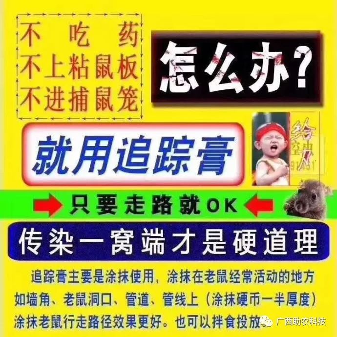 苍蝇驱除种有效方法图片_最有效的11种驱除苍蝇方法_苍蝇驱除种有效方法有哪些