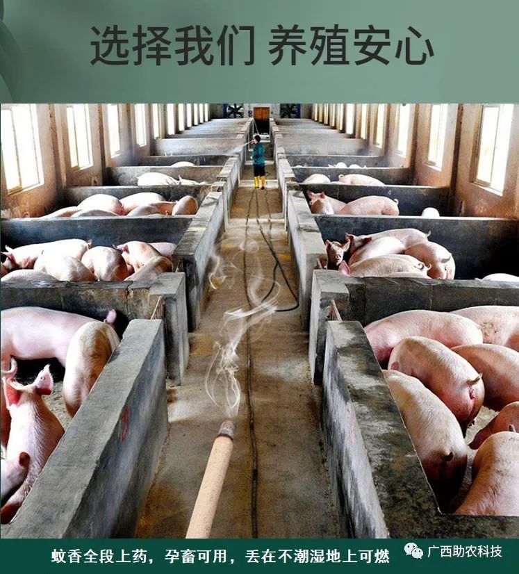 最有效的11种驱除苍蝇方法_苍蝇驱除种有效方法图片_苍蝇驱除种有效方法有哪些