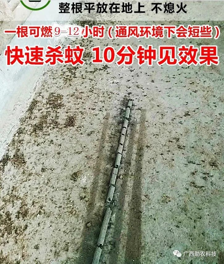 最有效的11种驱除苍蝇方法_苍蝇驱除种有效方法有哪些_苍蝇驱除种有效方法图片