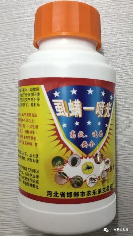 苍蝇驱除种有效方法图片_最有效的11种驱除苍蝇方法_苍蝇驱除种有效方法有哪些