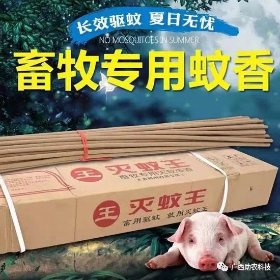 苍蝇驱除种有效方法图片_最有效的11种驱除苍蝇方法_苍蝇驱除种有效方法有哪些