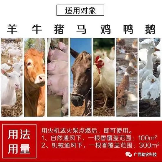 苍蝇驱除种有效方法有哪些_苍蝇驱除种有效方法图片_最有效的11种驱除苍蝇方法