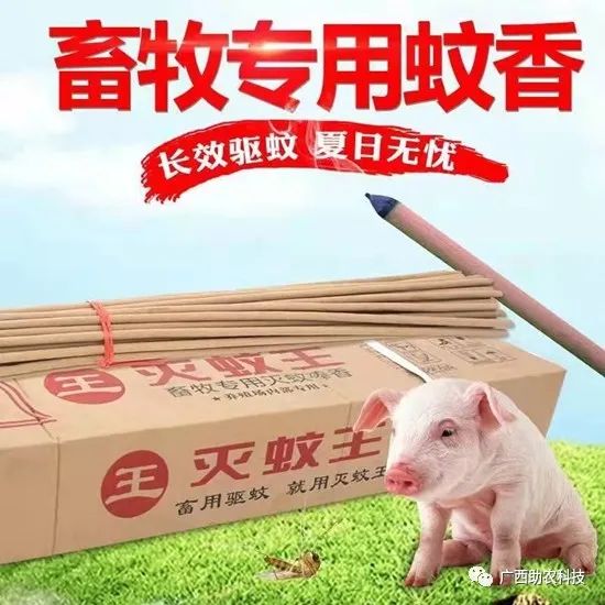 苍蝇驱除种有效方法有哪些_最有效的11种驱除苍蝇方法_苍蝇驱除种有效方法图片