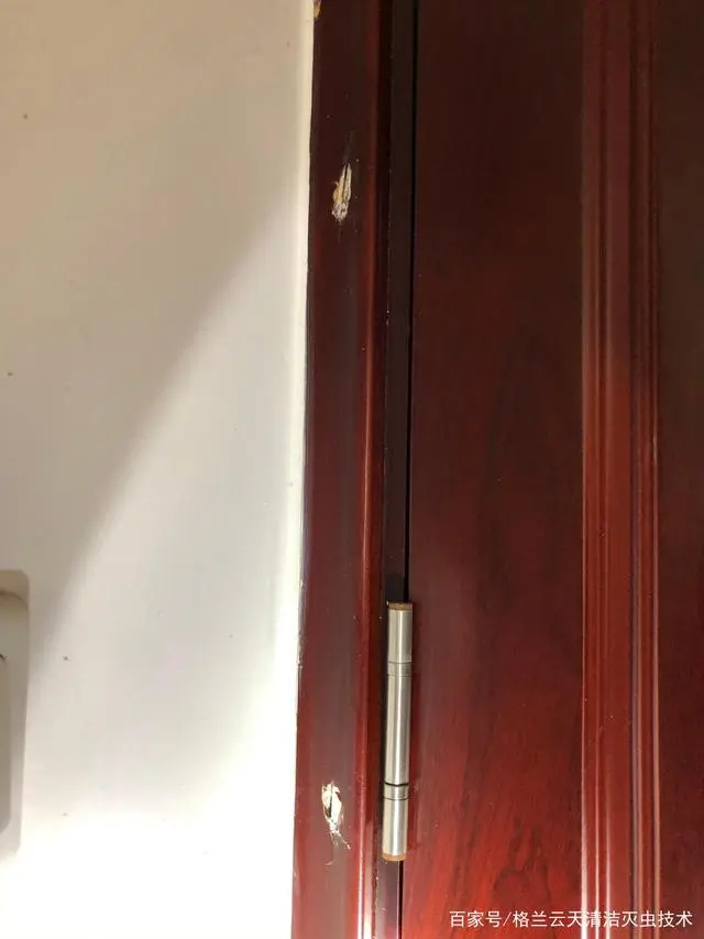 灭白蚁的方法_灭白蚁最快的方法_如何消灭白蚁方法