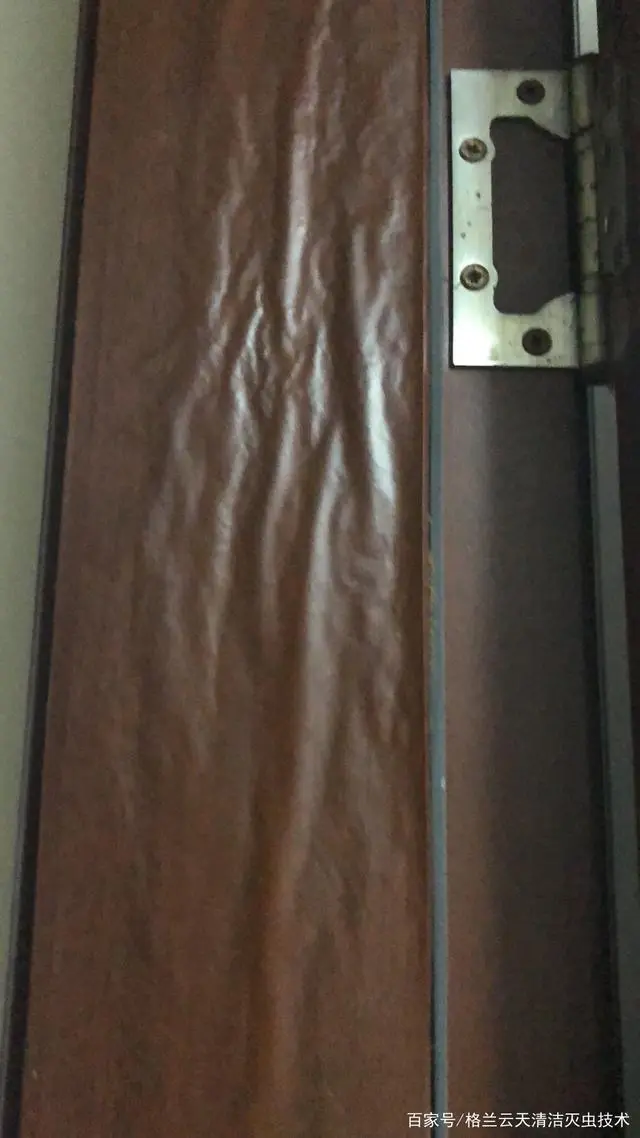 灭白蚁最快的方法_灭白蚁的方法_如何消灭白蚁方法