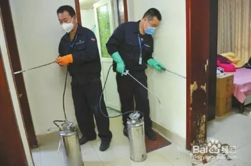 家里有白蚁需要灭怎么收费——专业人士解答
